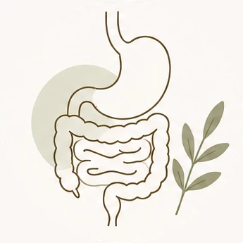 Digestion